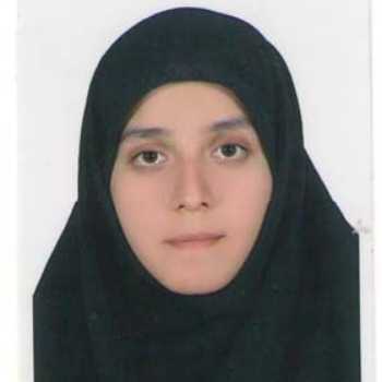 دانش‌آموز انقلابی، مدرسۀ انقلابی